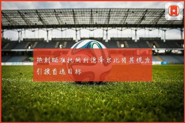 热刺瞄准托纳利德泽尔比将其视为引援首选目标